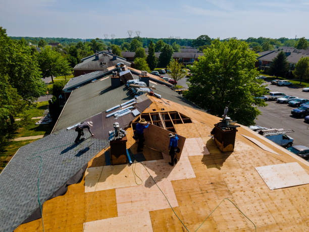 Best Commercial Roofing Services  in Waterville, MN