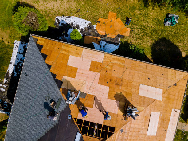 Best Gutter Installation and Roofing  in Waterville, MN