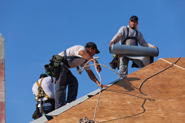 Best Emergency Roof Repair  in Waterville, MN