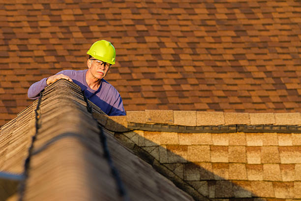 Best Roof Gutter Cleaning  in Waterville, MN